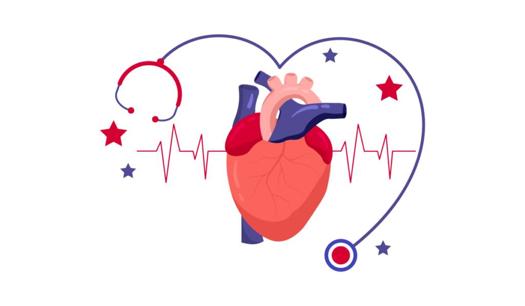 Illustration of a heart and heart rate